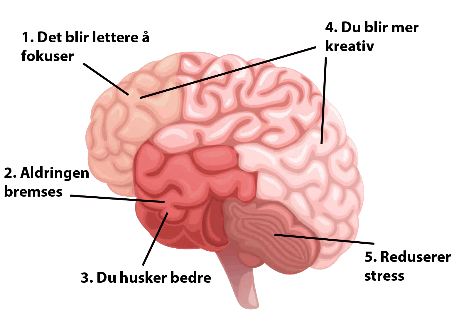 Mosjon styrker oppmerksomheten og forbedrer hukommelsen 
