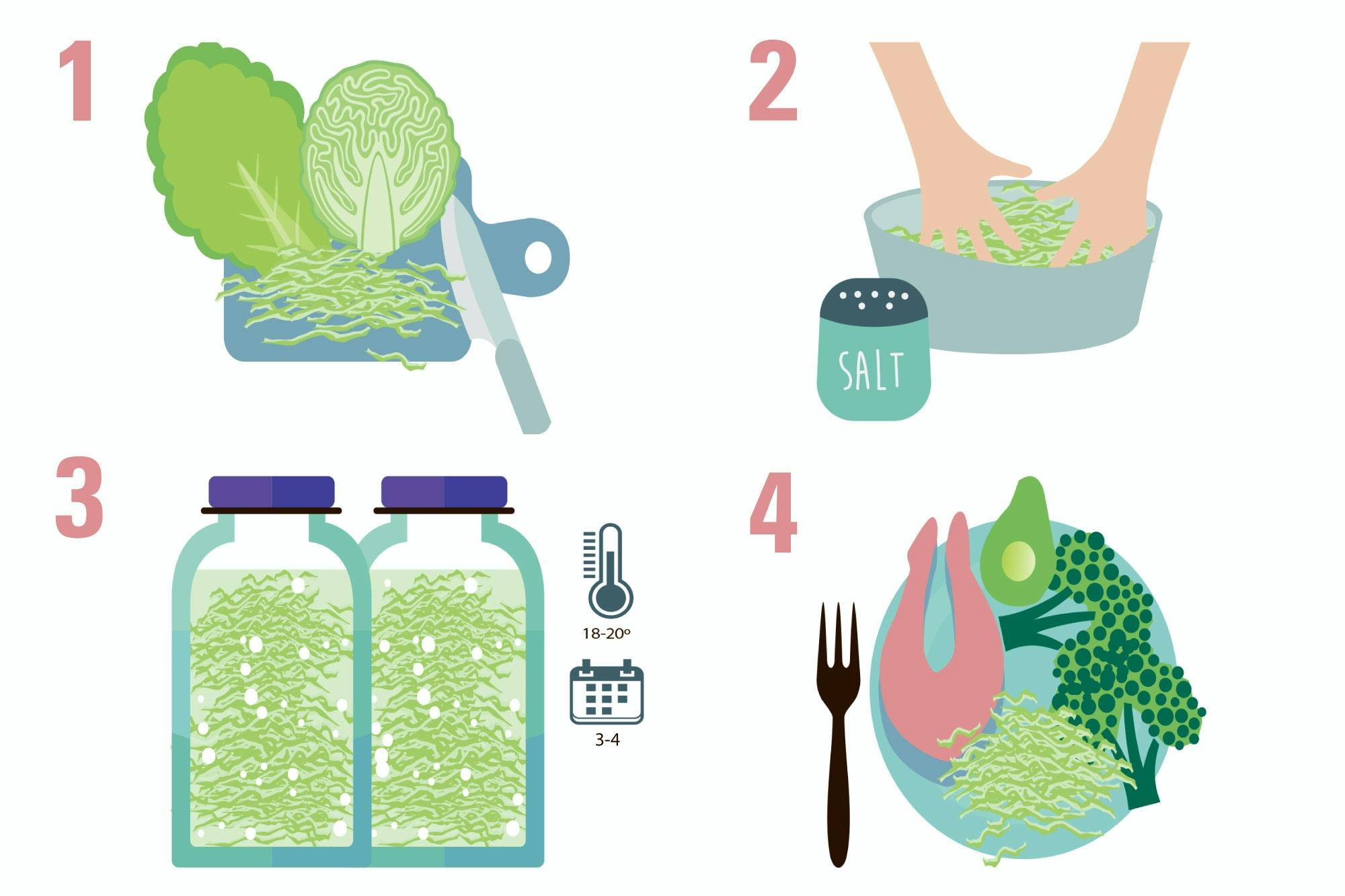 Fermentering opskrift