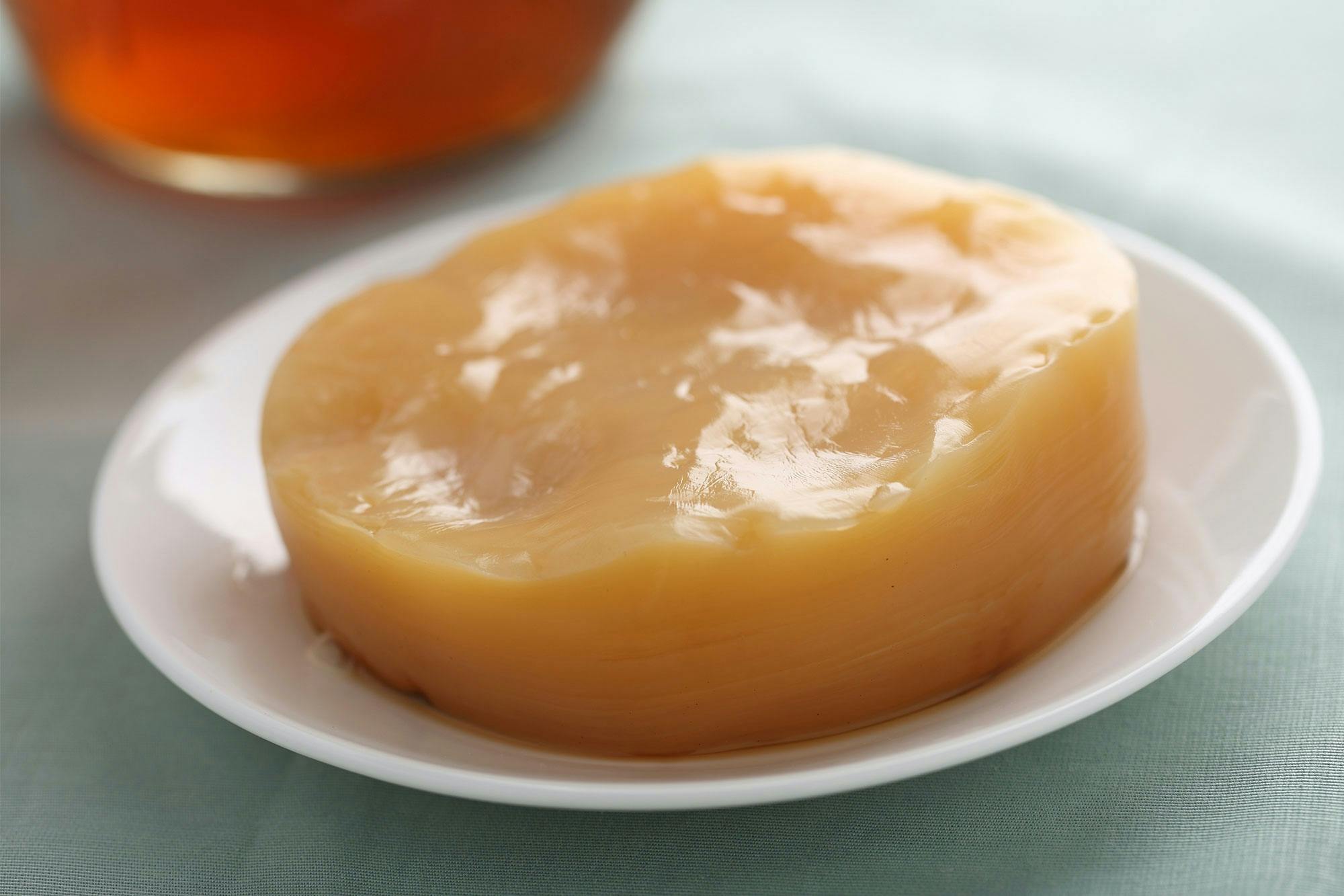 En kombucha svamp - SCOBY