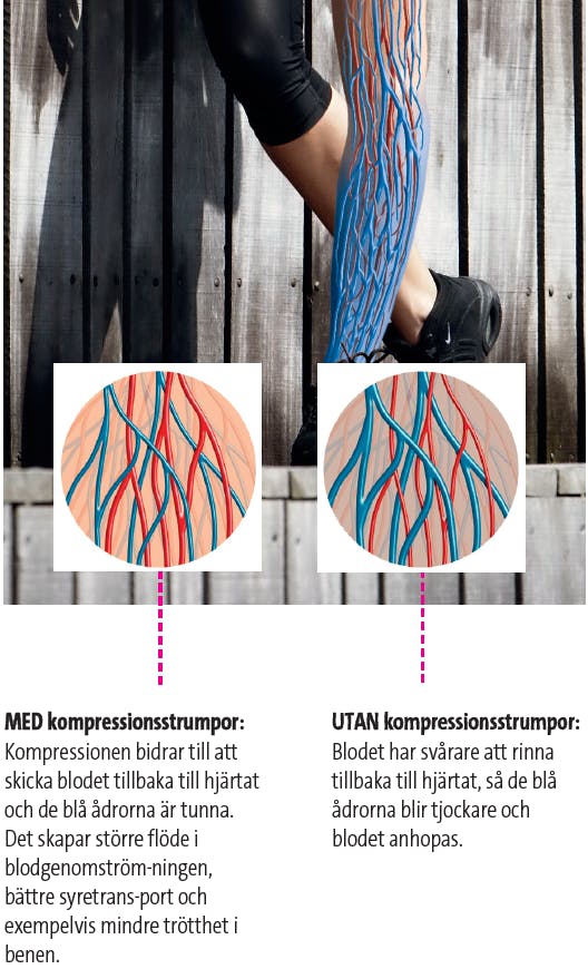 Så här påverkar kompressionsstrumpor ditt blodflöde i benen.
