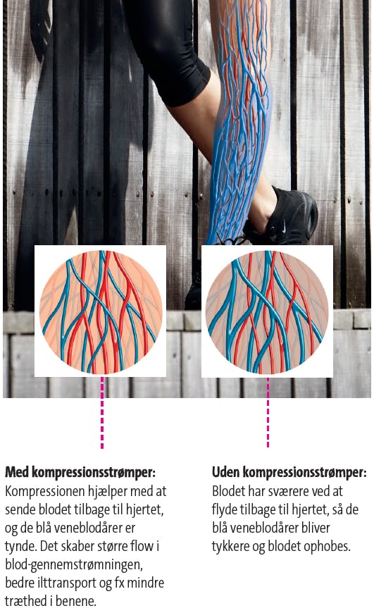 Sådan påvirker kompressionsstrømper dit blodomløb i benene.