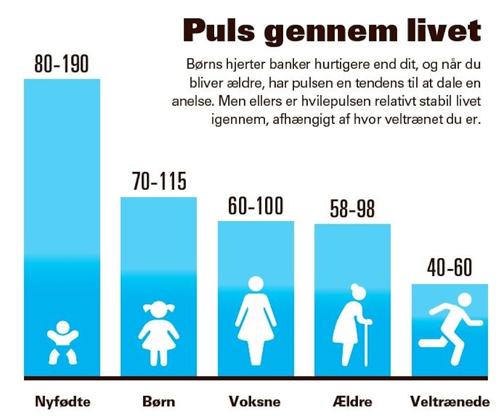 Alt om pulsen - Hvilepuls og træning | iform.dk