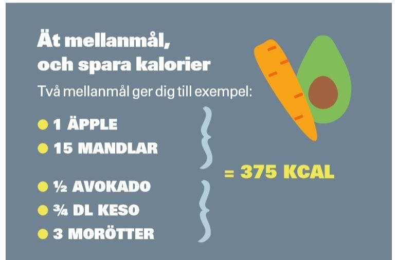 Översikt över mellanmål