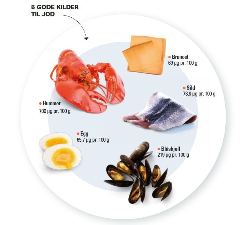 Tallerken med jodberiket mat som er bra for stoffskiftet. 