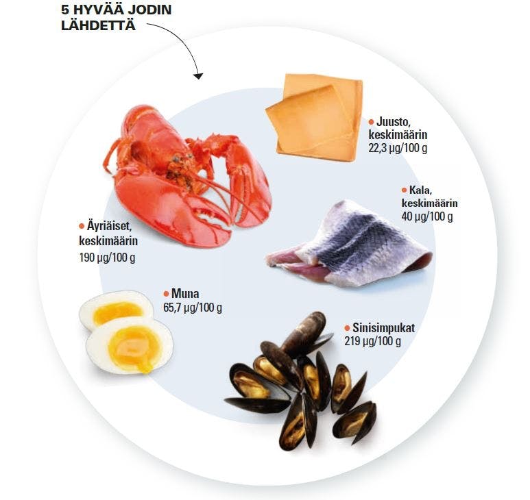 Viisi hyvää jodinlähdettä