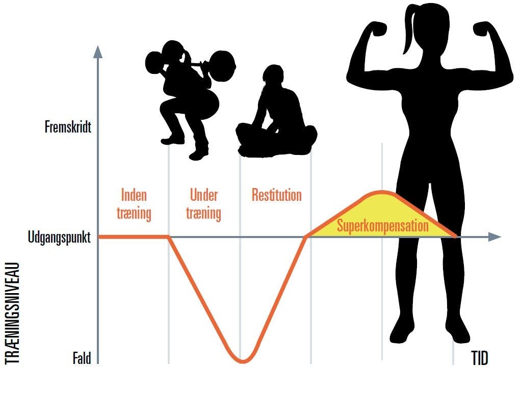 Det er vigtigt at holde hviledage, når du træner meget, så musklerne har tid til at genopbygge sig selv og blive stærkere.  