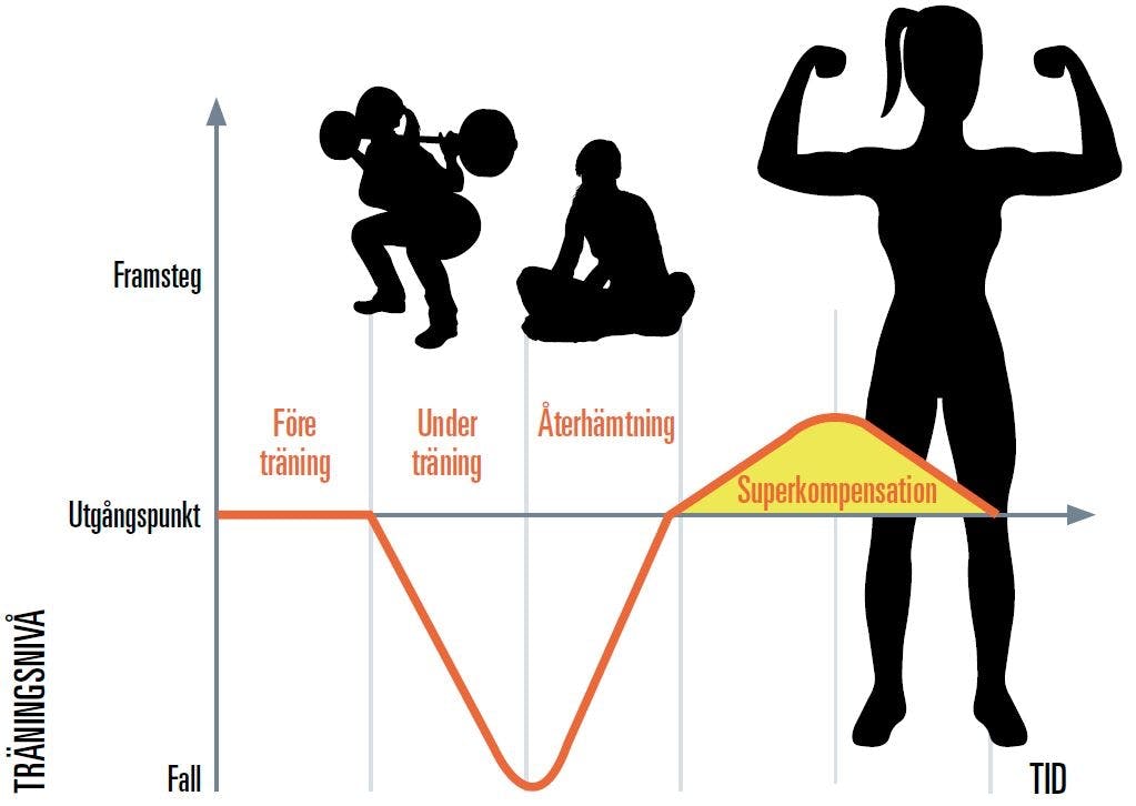 Superkompensation diagram