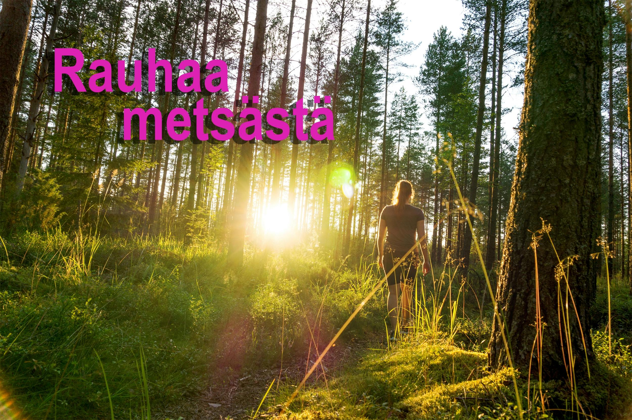 Rauhaa metsästä
