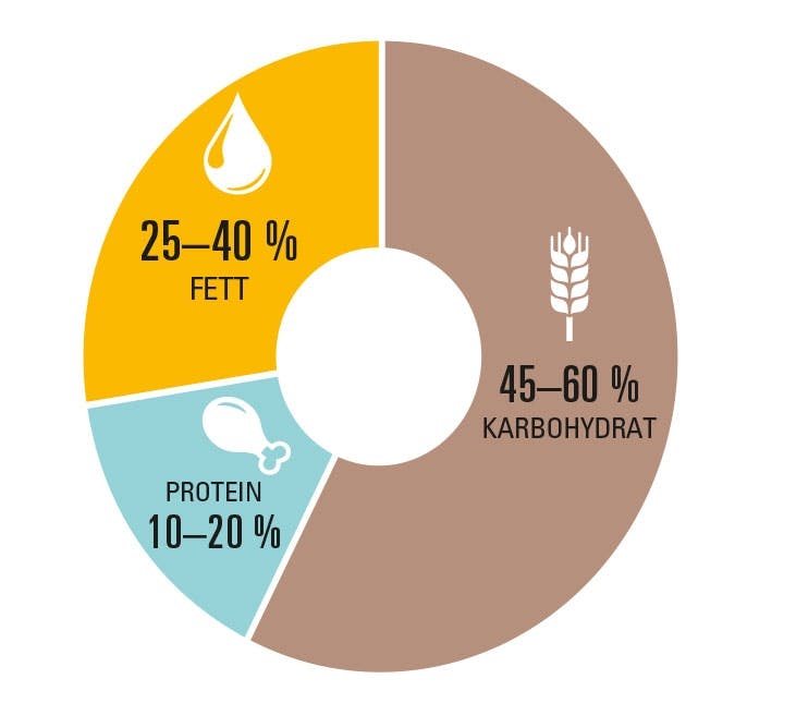 De offisielle kostanbefalingene fett, protein og karbohydrater 