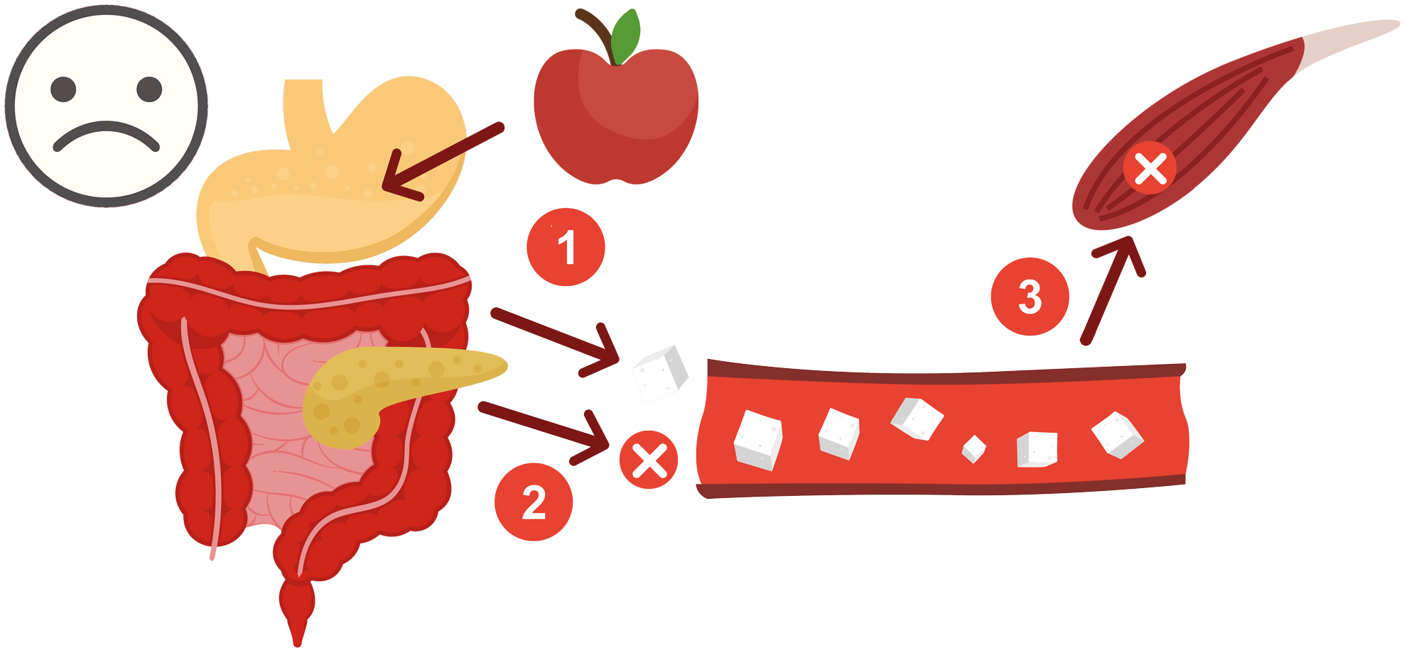 Dette skjer med stoffskiftet ved diabetes type 1