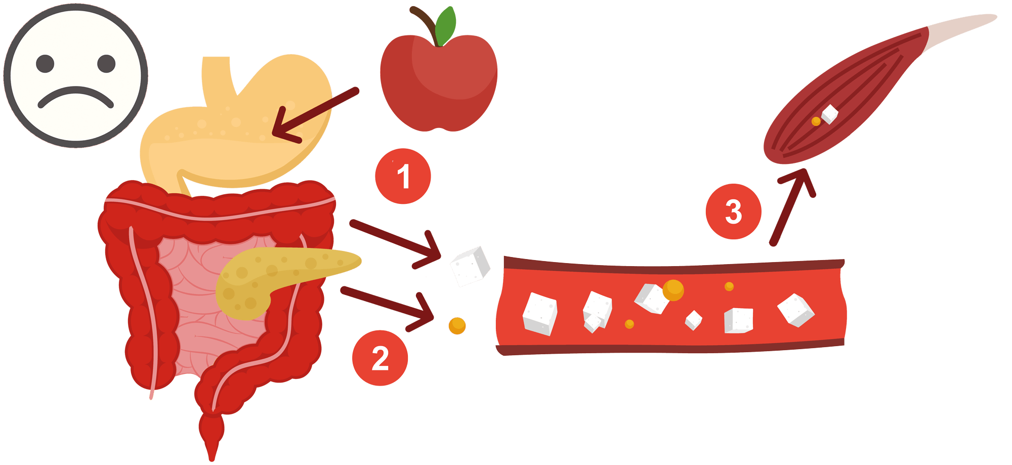 Dette skjer med stoffskiftet ved diabetes type 2