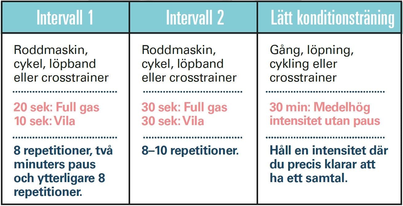 Program för konditionsträning