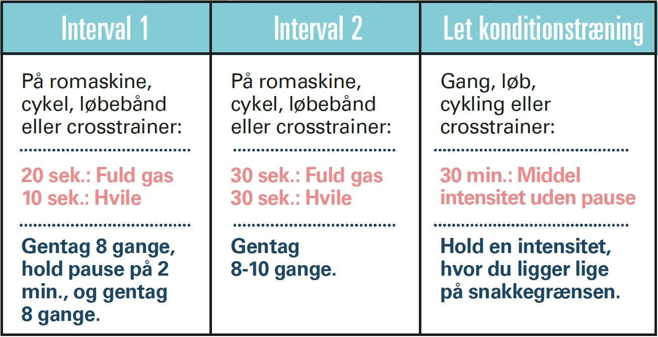 Program for konditionstræning