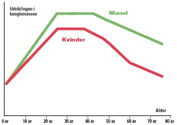 Knogleskørhed / osteoporose – Udvikling af knoglemasse i forhold til alder og køn