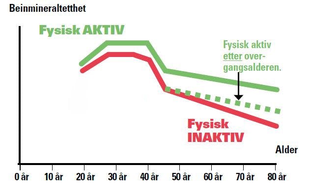 Beinskjørhet (osteoporose): Graf over beinmineralinnhold hos aktive og inaktive mennesker. 