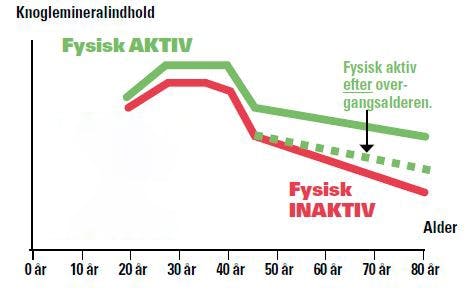 Knogleskørhed (osteoporose): Graf over knoglemineralindhold hos aktive og inaktive mennesker