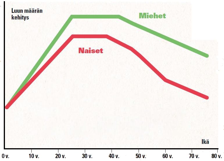 Luumassan määrän kehitys iän ja sukupuolen mukaan