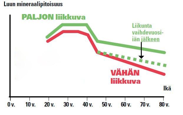 Osteoporoosi: luun mineraalipitoisuus paljon ja vähän liikkuvalla