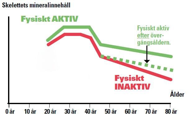 Träning bromsar benskörhet