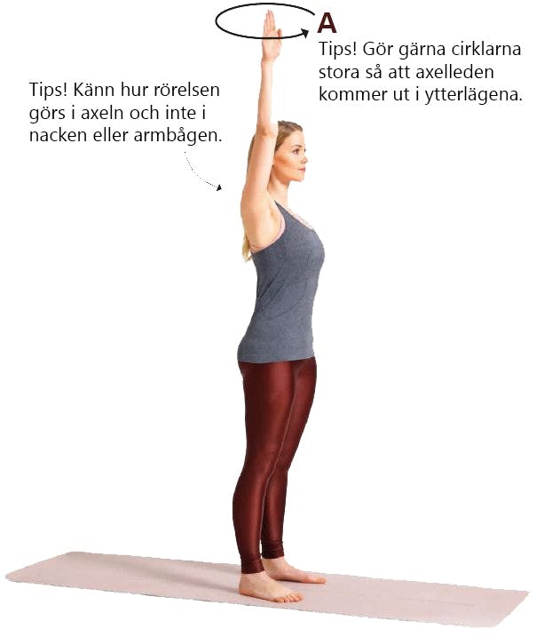 Övning: Axelcirklar