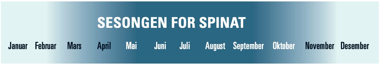 Spinatsesong