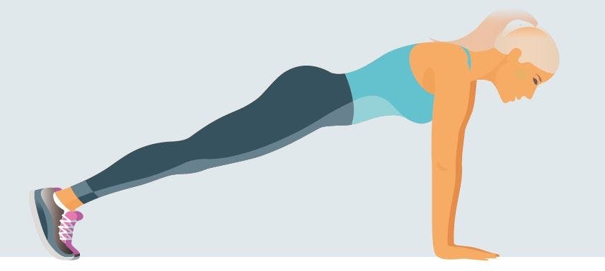 Planke for de erfarne