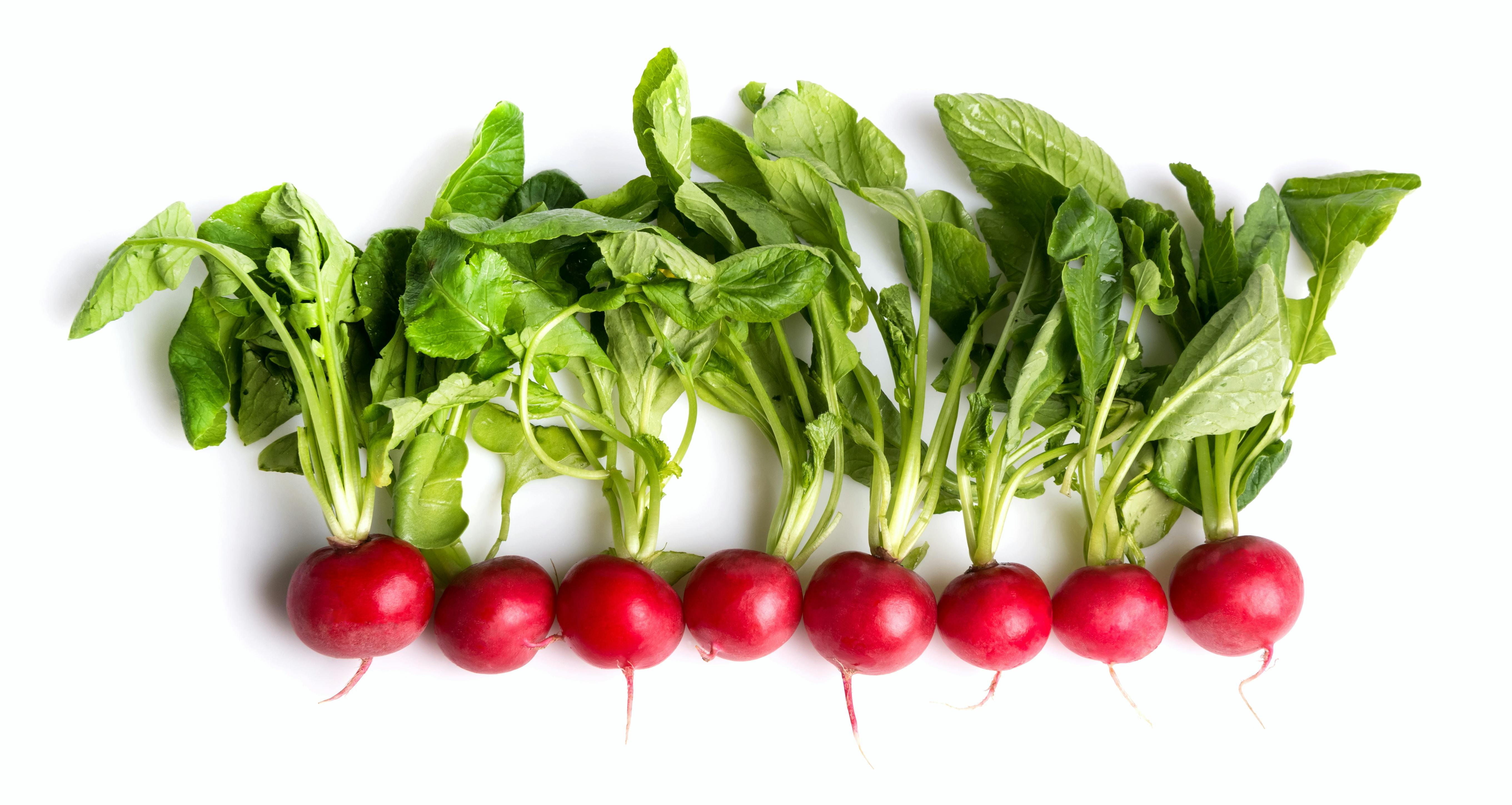 Retiisi – painoaan tarkkailevalle