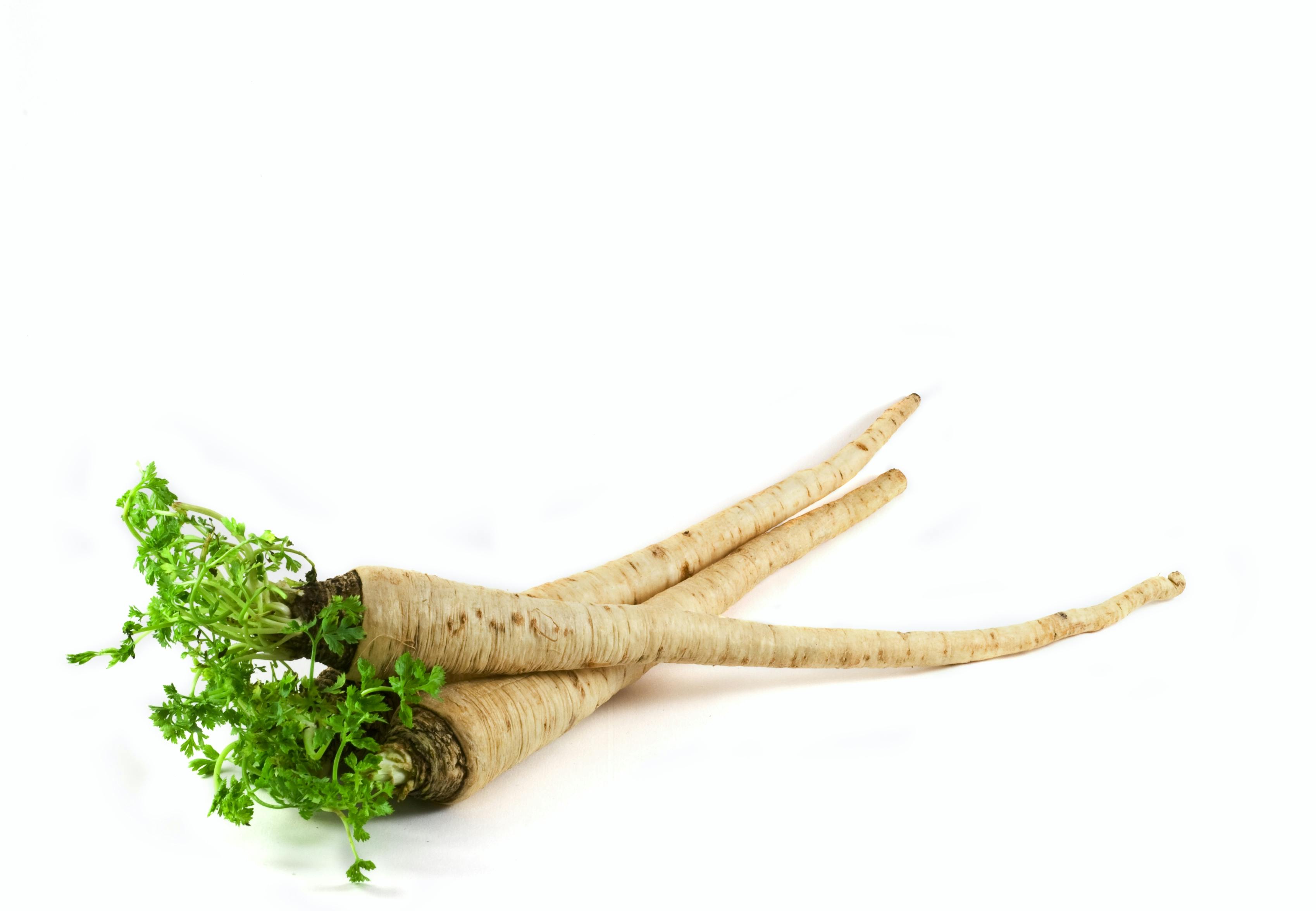 Persiljerot – fyller dig med energi