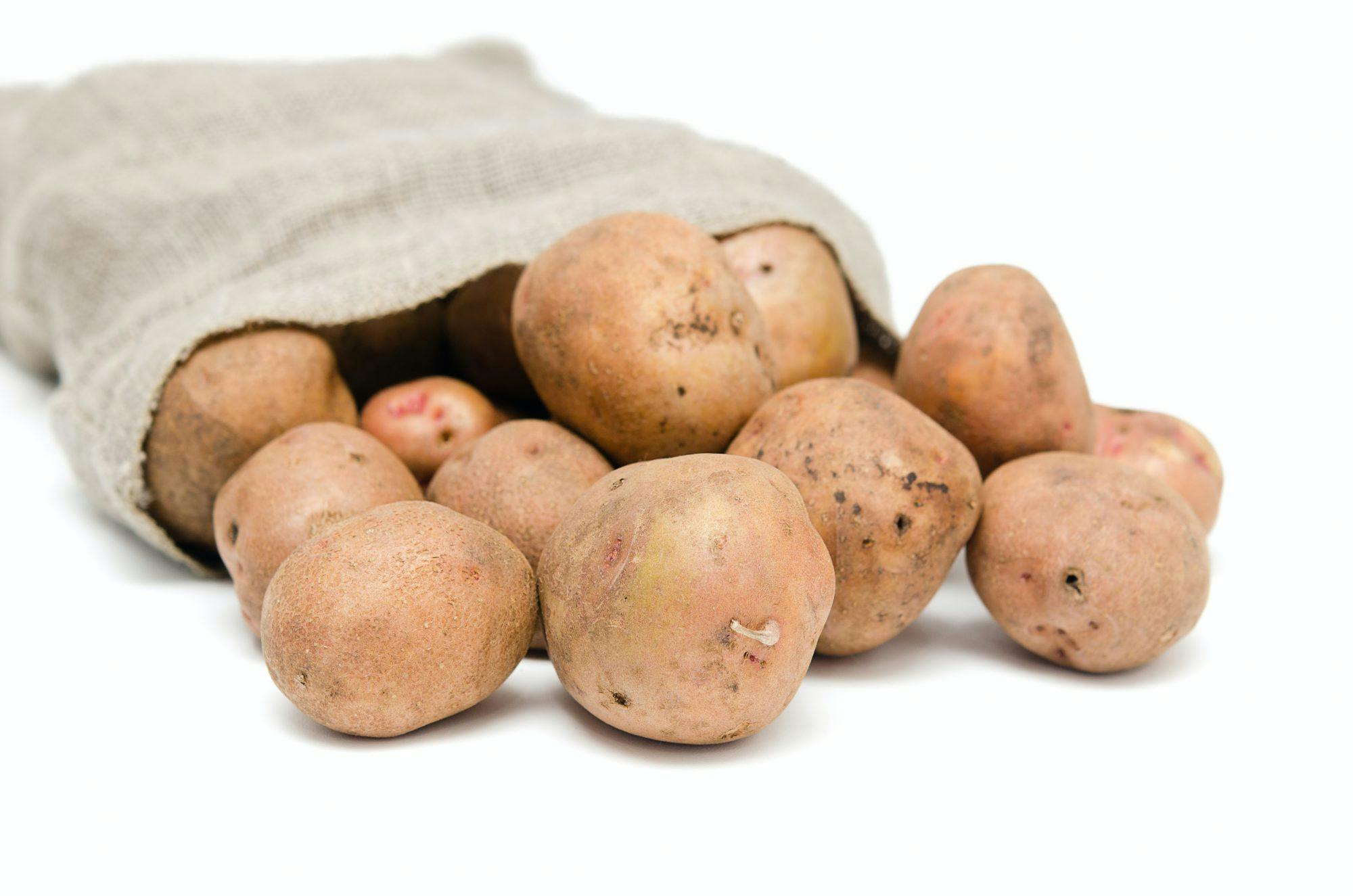 Potatis