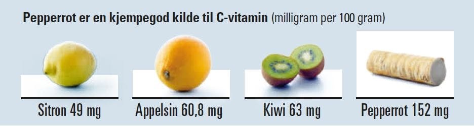 Pepperrot er en kjempegod kilde til C-vitamin (mg pr. 100 g)