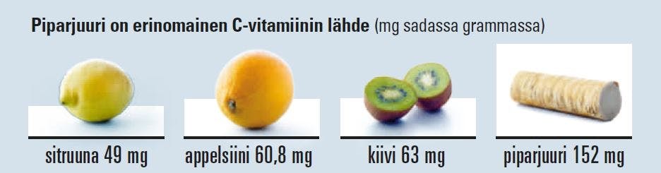Piparjuuri on erinomainen C-vitamiinin lähde