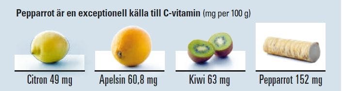 Pepparrot är en god källa till C-vitamin