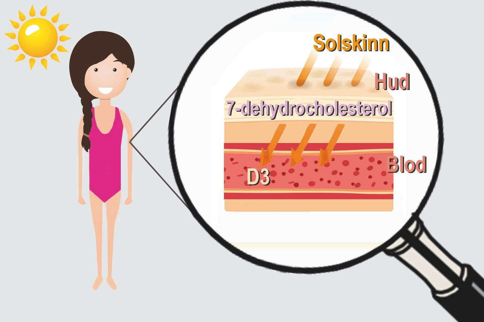 Solas UV-stråler setter gang i hudens D-vitamin-produksjon