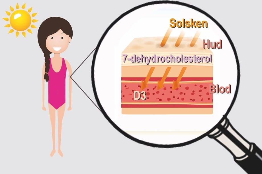 Solens UV-strålar sätter igång hudens D-vitaminproduktion