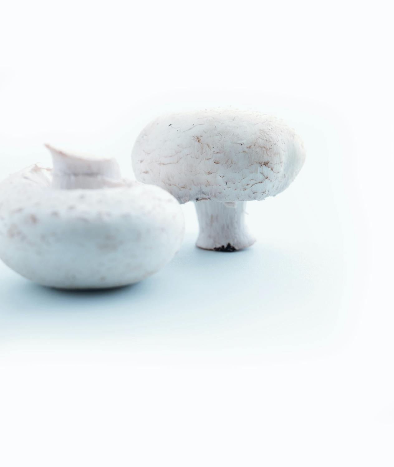 Champignon