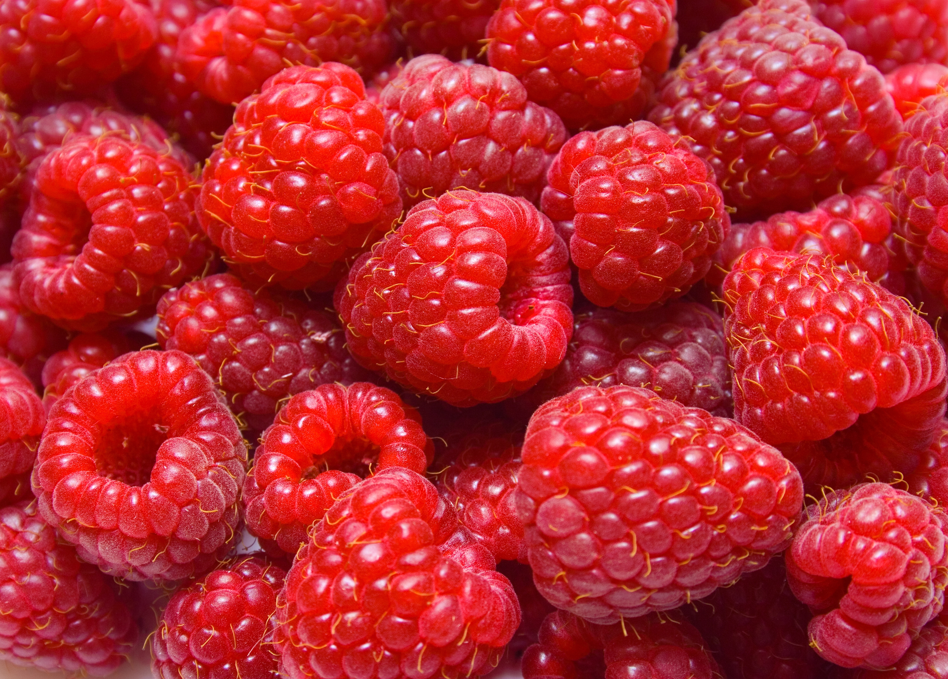 Hur Många Kalorier är Det I Ett äpple