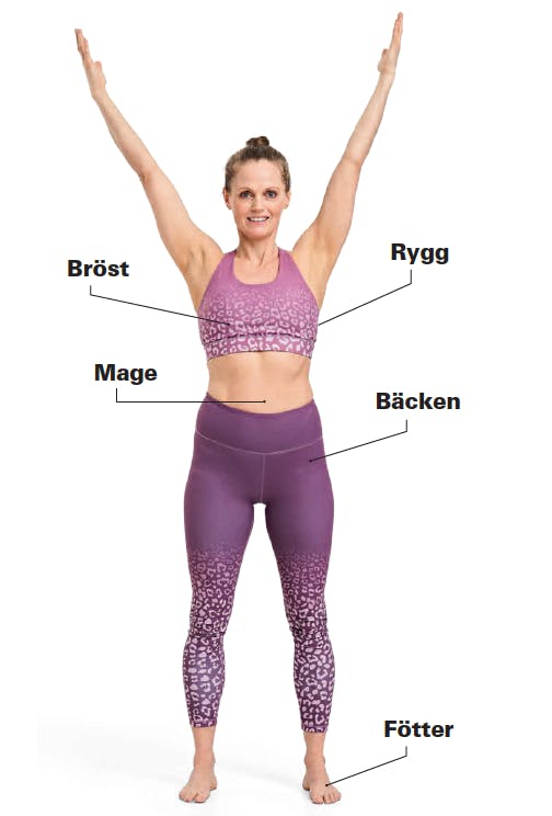 Smärtor i bindväven