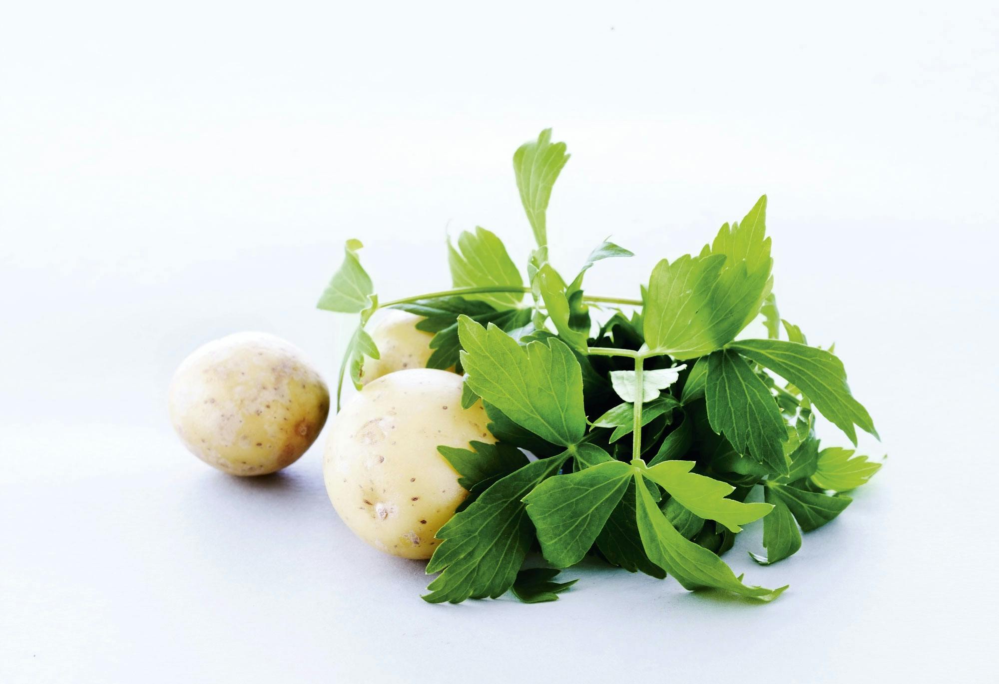 Potatisar med örtkryddor