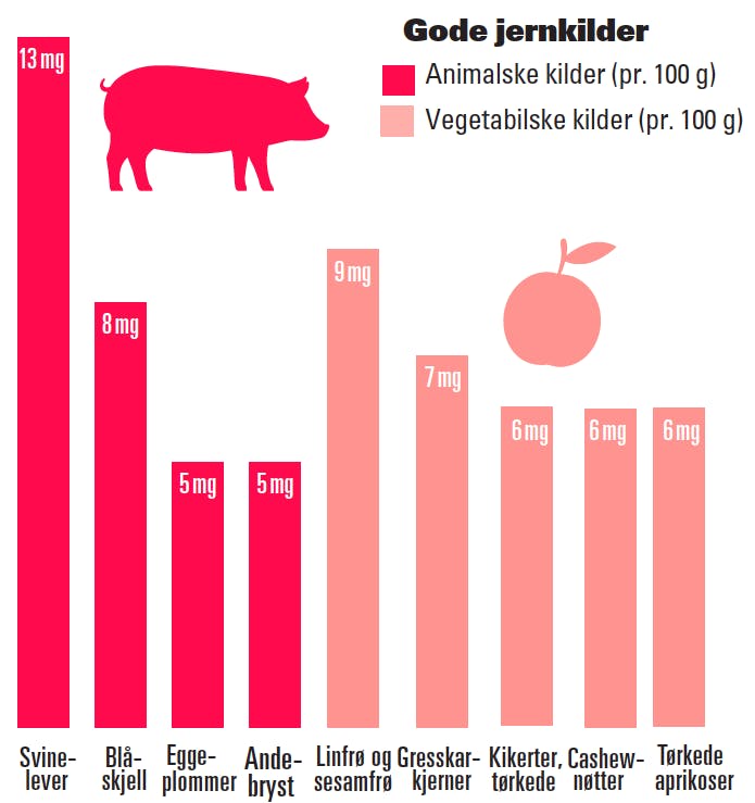 Graf kilder til jern