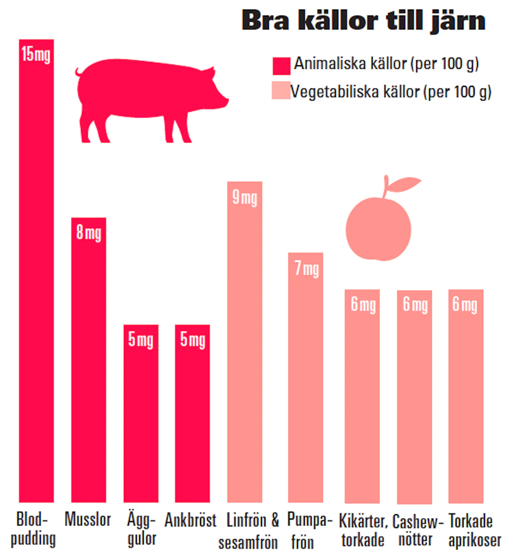 Järn – lider du av järnbrist? | I FORM