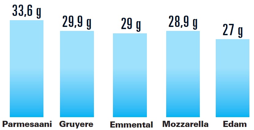 Juuston proteiinipitoisuus