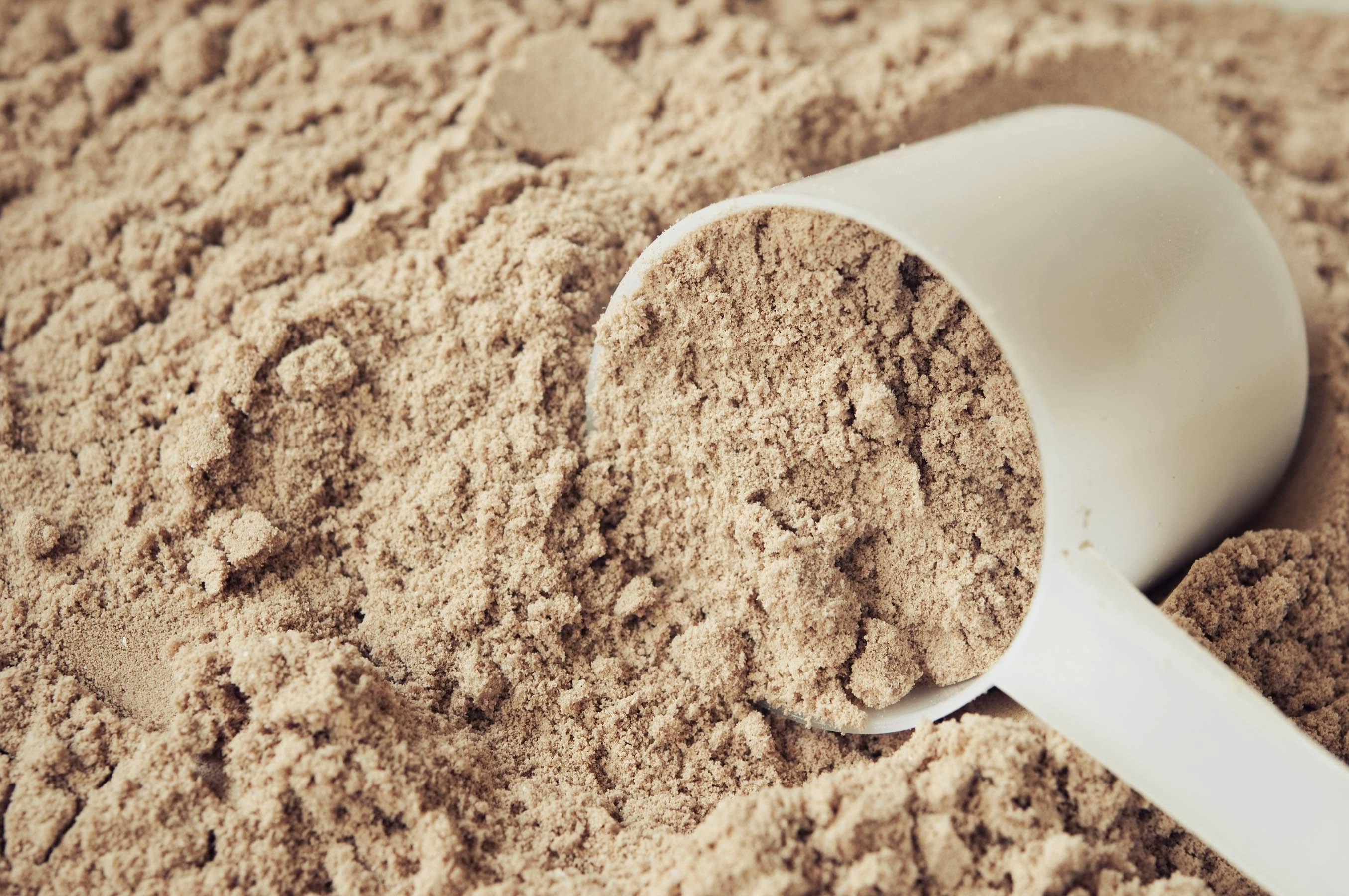 Proteinpulver