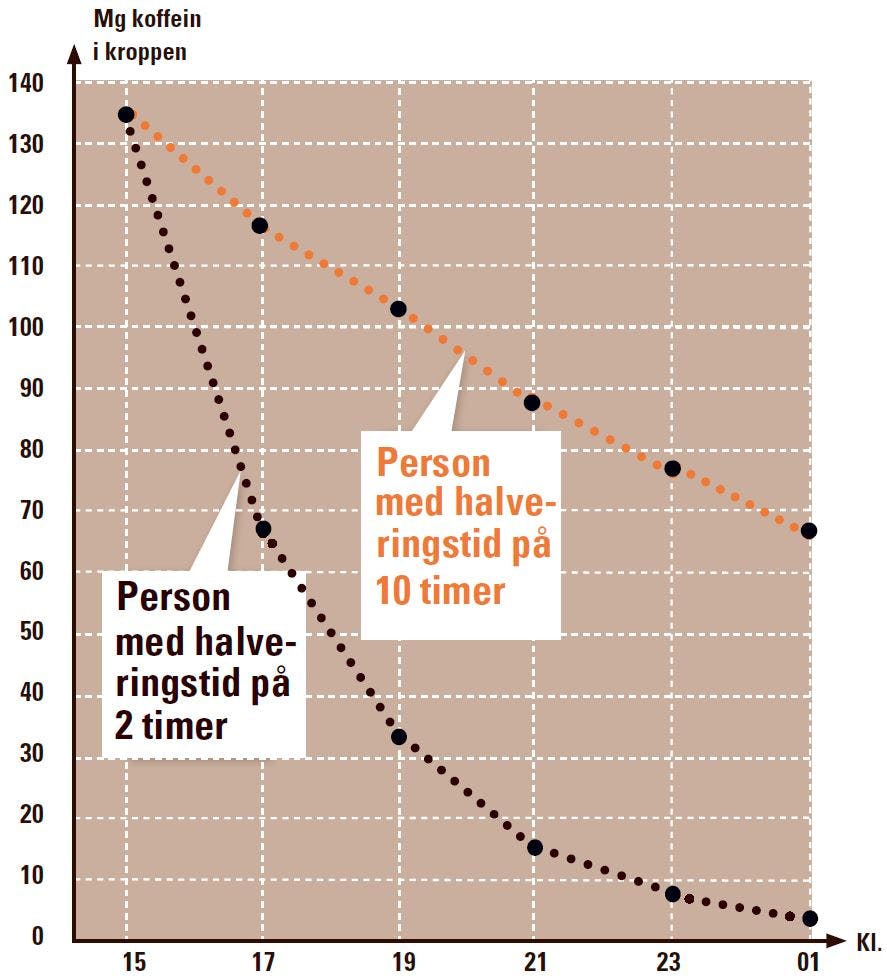 Nedbrydningstiden for koffein