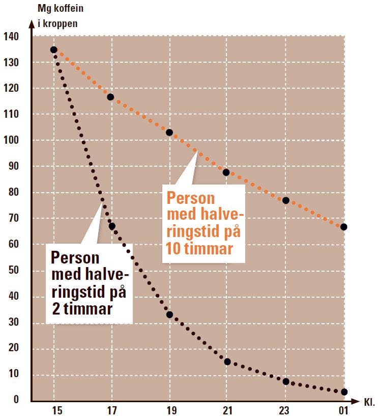 Nedbrytningstid för koffein i kroppen