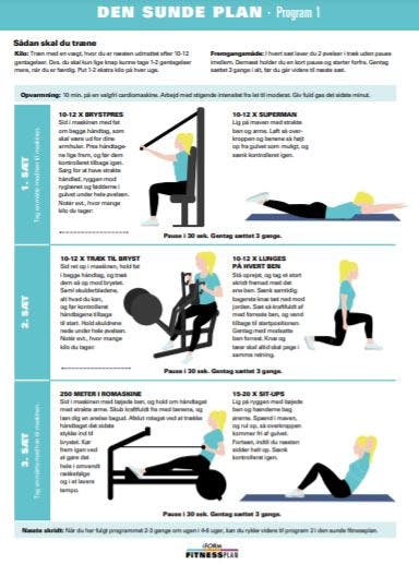 Pdf af det sunde program 1.