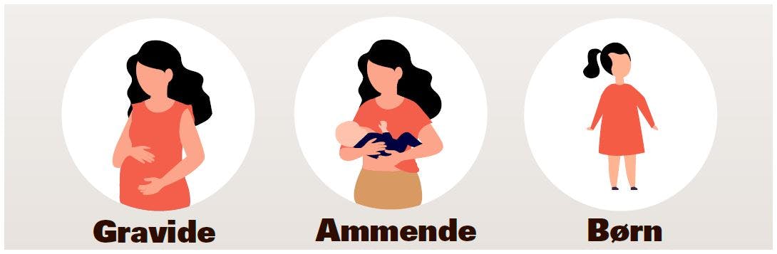 Målgrupper ginseng frarådes til