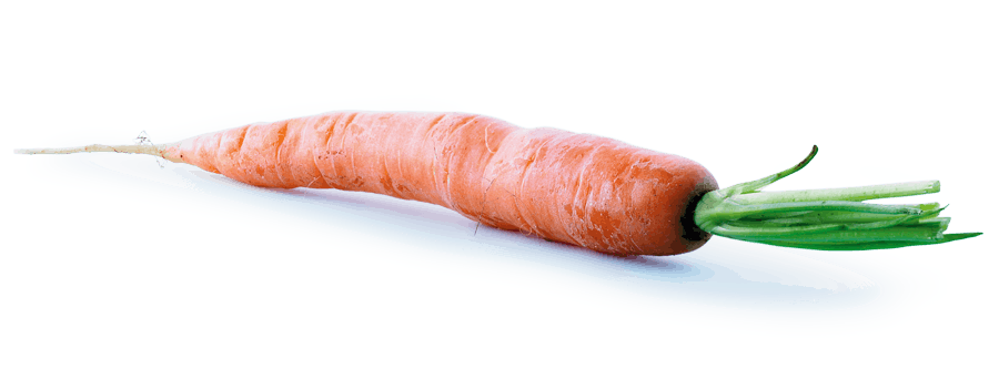 Porkkana – hyvä valinta kasvislistalta