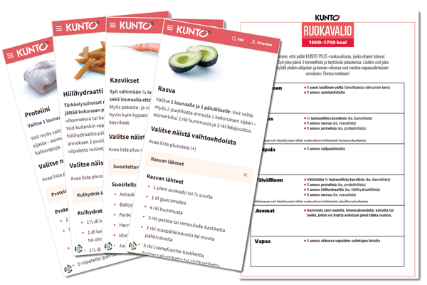 Kuva KUNTO PLUSsan Ruokavalion kuvauksesta ja ruoka-ainelistoista.