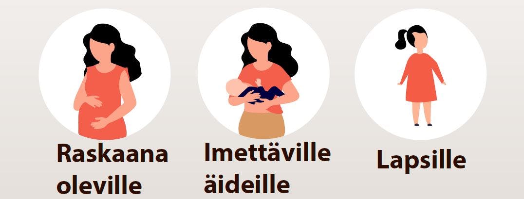 Ryhmiä, joille ginsengiä ei suositella