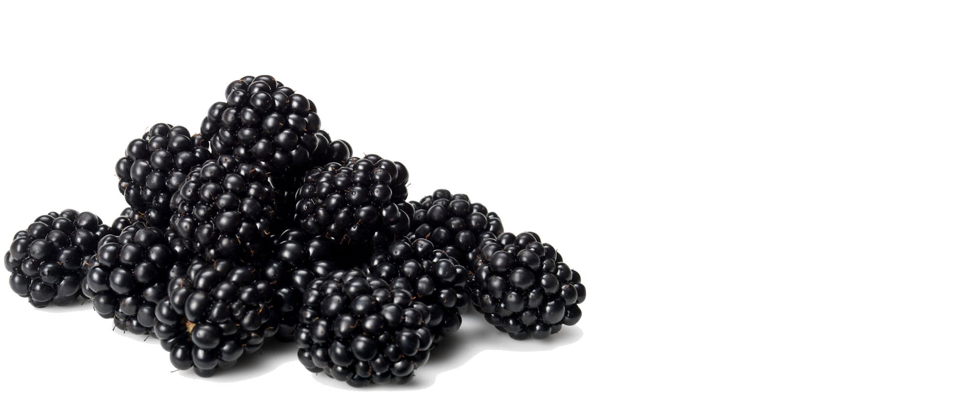 100 g brombær rummer 6 mg E-vitamin